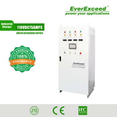 Fabricante estándar de cargador de batería para subestaciones monofásicas o trifásicas Everexceed de red/PV